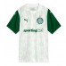 Maillot de foot Palmeiras Extérieur vêtements 2025-26 Manches Courtes